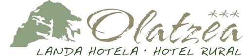 logo color olatzea