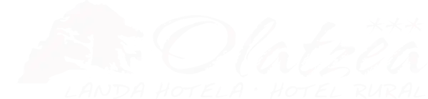 logo diapo olatzea